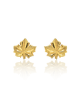 Gold maple leaf earrings on a white background