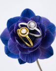 Two diamond rings displayed on a blue flower against a white background
