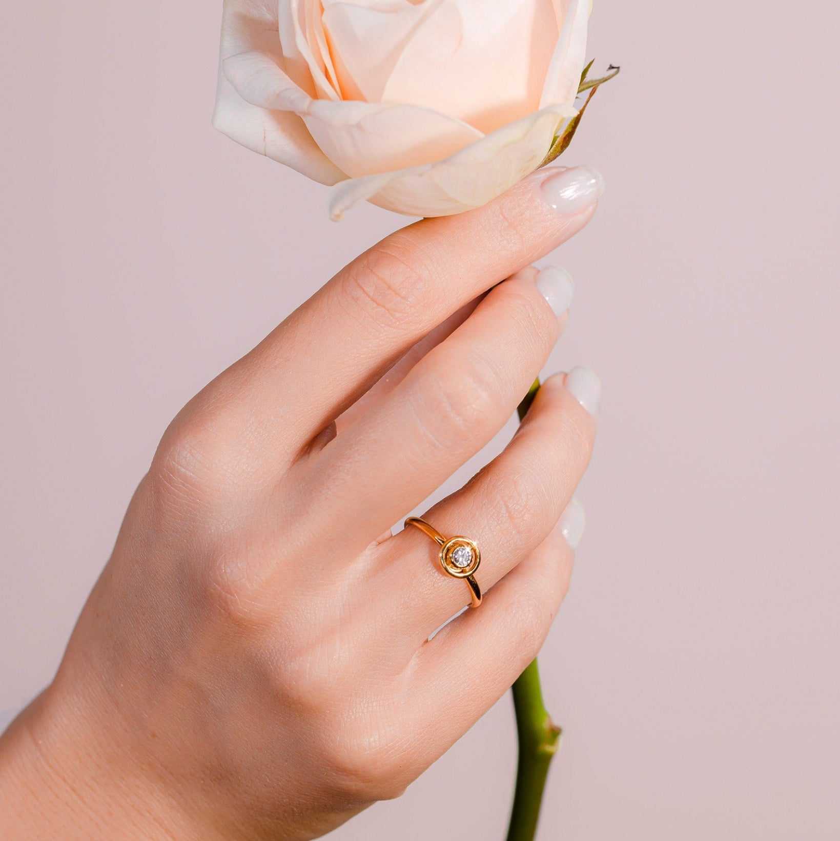 Hand holding a white rose with a blurred background