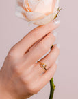 Hand holding a white rose with a blurred background