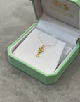 Gold Charm - Key of Transformation