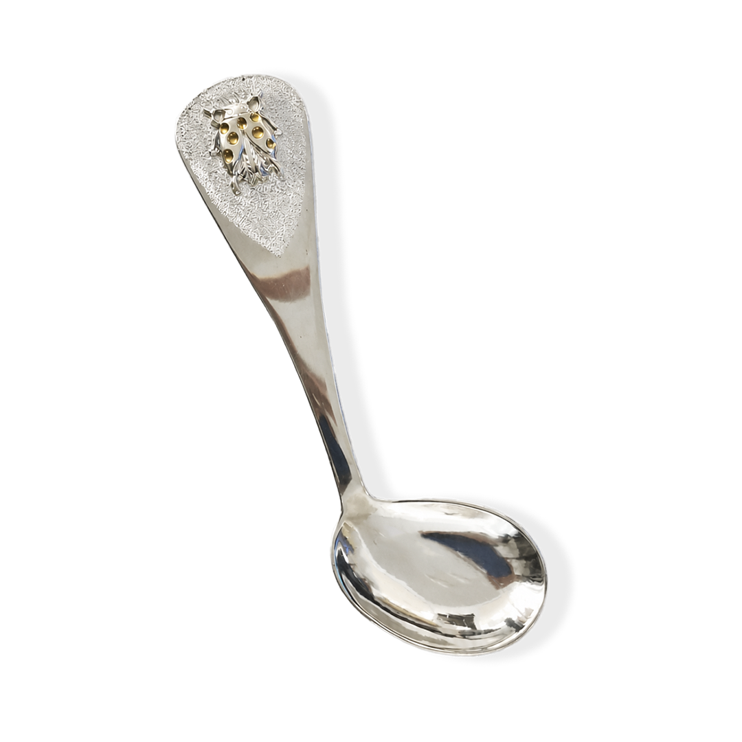 Silver spoon with decorative handle on a white background